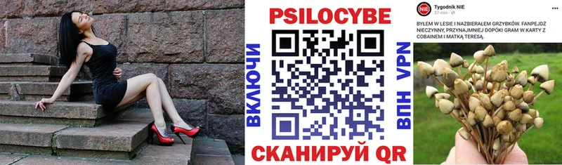 Галлюциногенные грибы Magic Shrooms  Яровое 