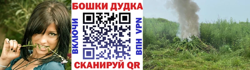 Конопля OG Kush  как найти   Яровое 
